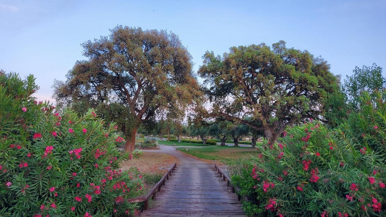 Arcos Gardens - The Townhouse - Luxury Accommodation ארקוס דה לה פרונטרה מראה חיצוני תמונה